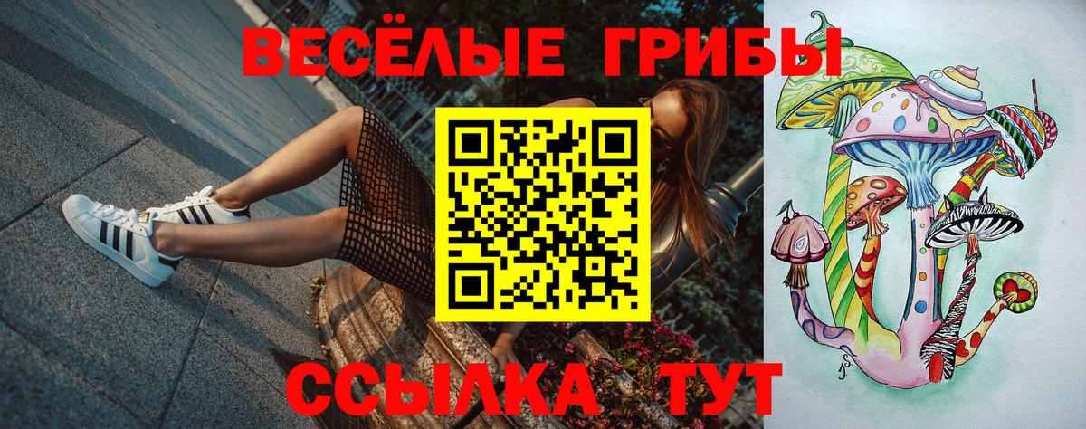 Псилоцибиновые грибы Psilocybe  Вход с VPN  Ишим  Псилоцибиновые грибы мицелий 